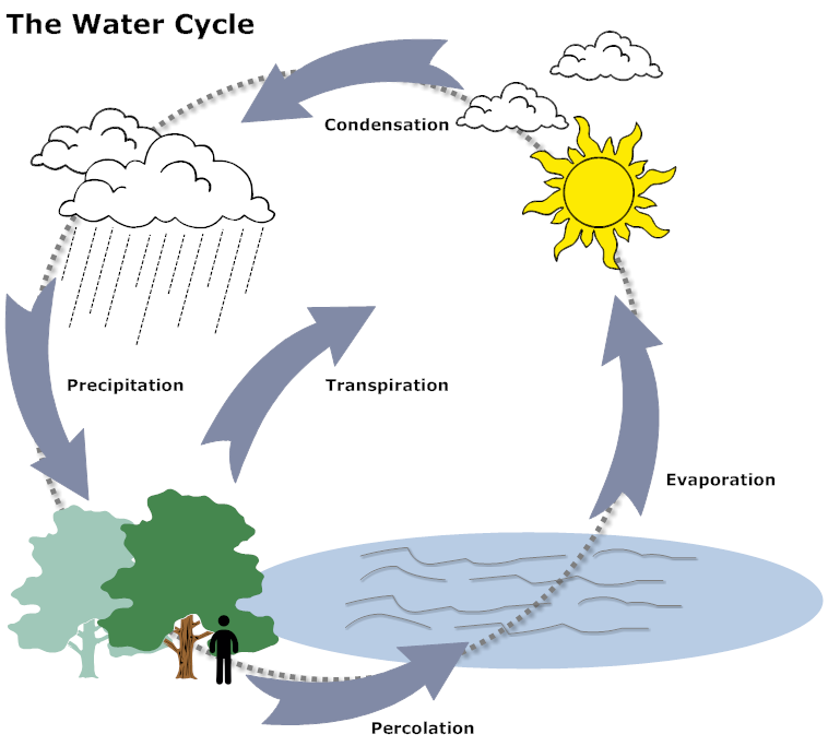 Water Cycle